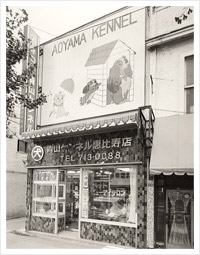 開店当時の犬のビューティーサロン・青山ケンネル恵比寿店